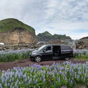 Private Tours in Westman Islands